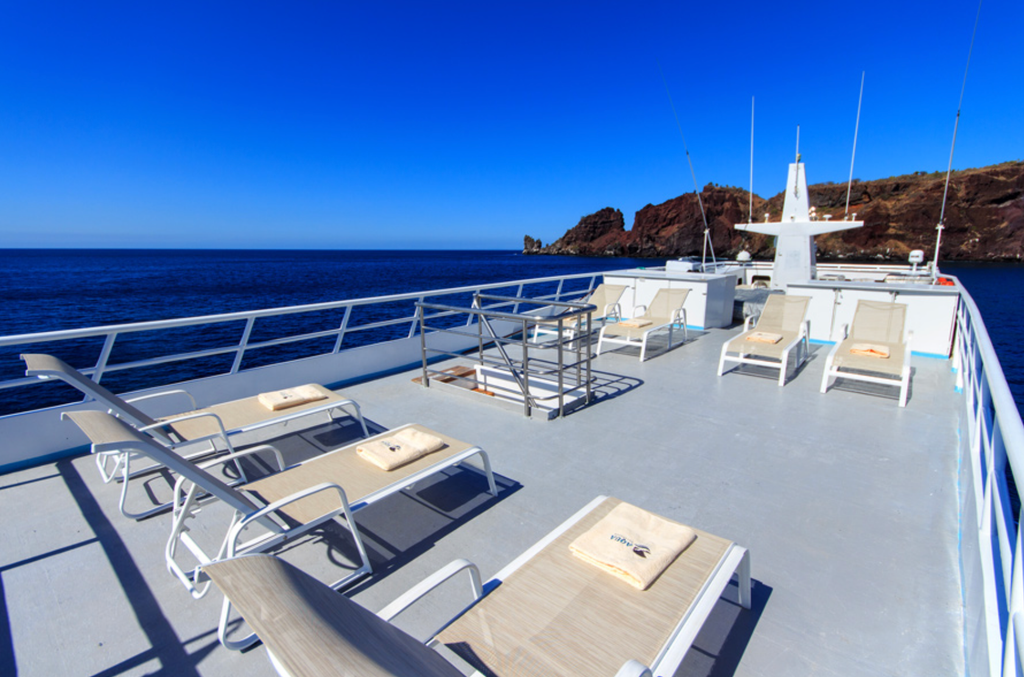 sundeck
